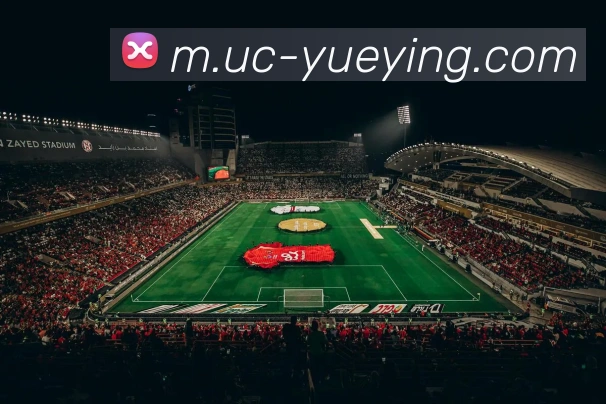 奖项证书